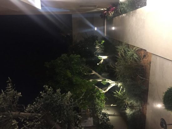 איך לעצב גינה עם תאורה