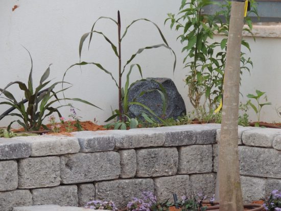 חצר חכמה
